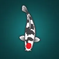 NextDayKoi discount code